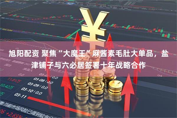 旭阳配资 聚焦“大魔王”麻酱素毛肚大单品，盐津铺子与六必居签署十年战略合作