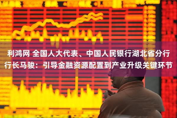 利鸿网 全国人大代表、中国人民银行湖北省分行行长马骏：引导金融资源配置到产业升级关键环节