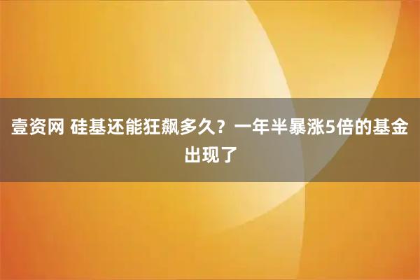 壹资网 硅基还能狂飙多久？一年半暴涨5倍的基金出现了